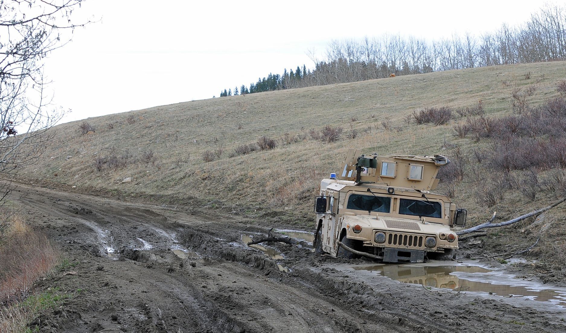 Buried in the mud